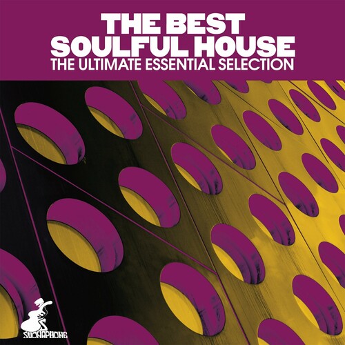 The Best Soulful House (The Ultimate Essential Selection) (2024) FLAC