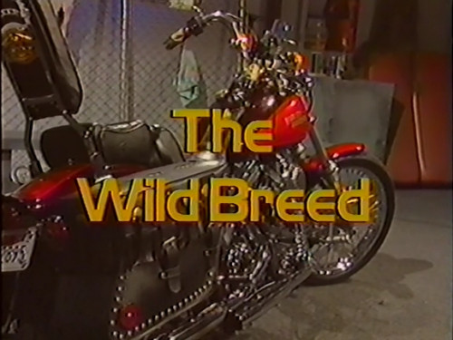 Wild Breed / Дикая порода (Jim Enright, Sin City) - 782.2 MB