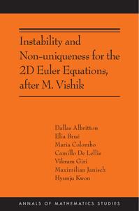 Instability and Non–uniqueness for the 2D Euler Equations, After M. Vishik (Annals of Mathematics Studies)