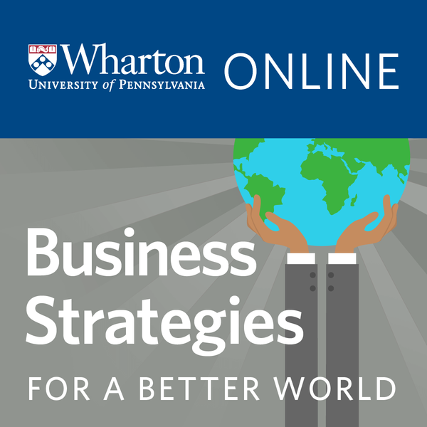 Coursera - Business Strategies for A Better World Specialization Coursera - Business Strategies for A Better World Specialization