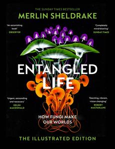 Entangled Life A beautiful new edition of the Sunday Times bestseller featuring 100 illustrations, Illustrated UK Edition