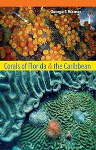 Corals of Florida and the Caribbean