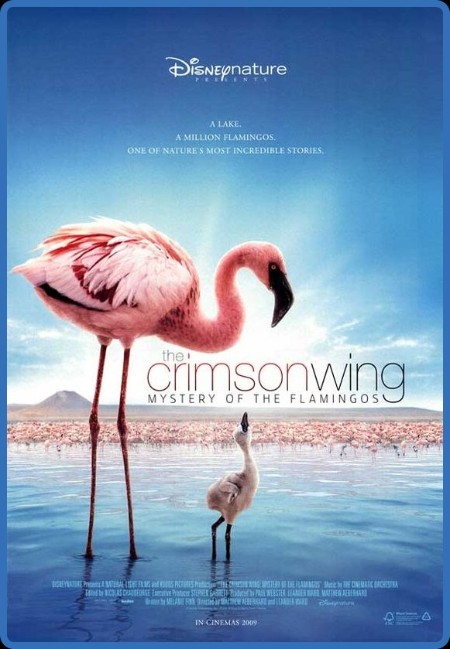 The Crimson Wing Mystery Of The Flamingos (2008) 720p BluRay [YTS]