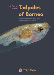 A Guide to the Tadpoles of Borneo