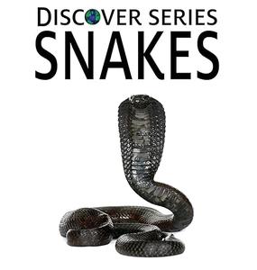Snakes (Discover Series)