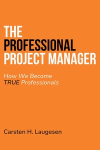 The Professional Project Manager How We Become True Professionals