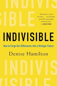 Indivisible How to Forge Our Differences into a Stronger Future