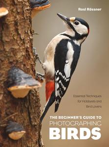 The Beginner’s Guide to Photographing Birds Essential Techniques for Hobbyists and Bird Lovers