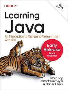 Learning Java, 6th Edition