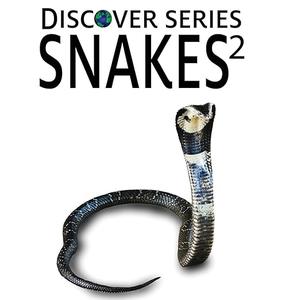 Snakes 2 (Discover Series)