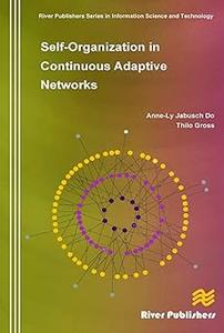 Self–Organization in Continuous Adaptive Networks
