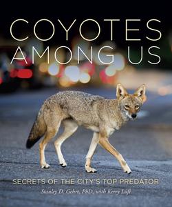 Coyotes Among Us Secrets of the City's Top Predator
