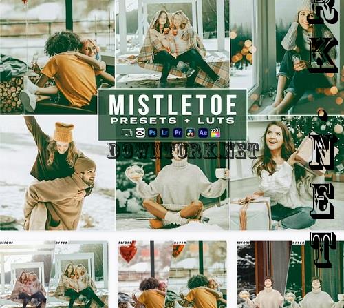 Mistletoe Filme Video Lut Presets Mobile & Desctop - D8UYSRD