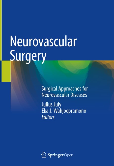 Neurovascular Surgery Surgical Approaches for Neurovascular Diseases (2024)
