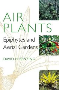 Air Plants Epiphytes and Aerial Gardens