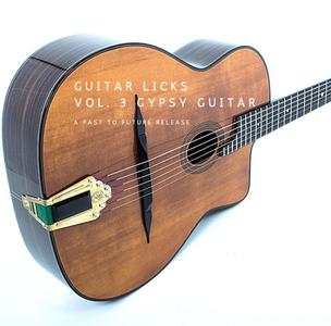 PastToFutureReverbs Guitar Licks Vol. 3 Gypsy Guitar For Kontakt! KONTAKT