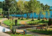 На озеленение столицы планируют выделить 10 миллионов гривен