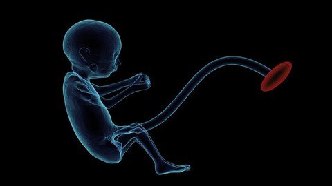 The Magical Course Of Womb Healing – Advanced 13