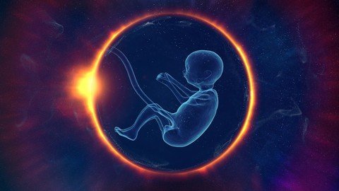 The Magical Course Of Womb Healing – Advanced 8