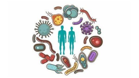 Microbiome Online Course