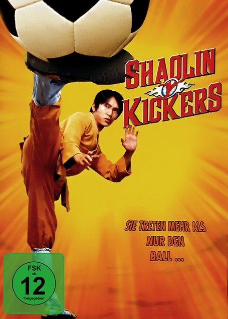 Shaolin Kickers Directors Cut 2001 German AC3 BDRip x264 - HQS