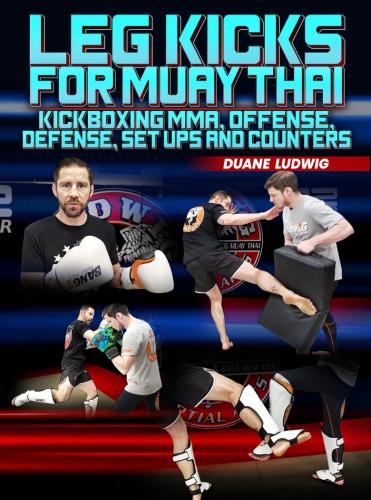 Leg Kicks For Muay Thai