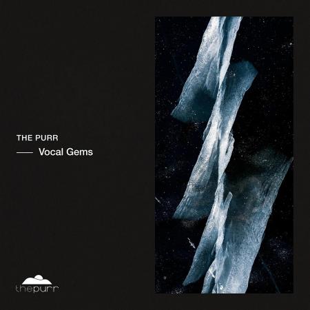 VA | The Purr Vocal Gems (2024) MP3