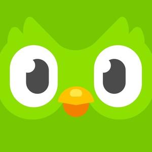 Duolingo  Language Lessons v5.142.4