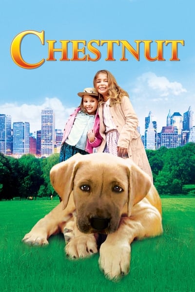 Chestnut Hero Of Central Park (2004) 720p WEBRip-LAMA E80c0e3278cc4c47f04286499d99c904