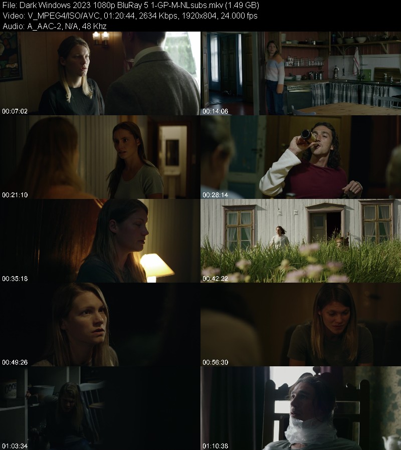 Dark Windows 2023 1080p BluRay 5 1-GP-M-NLsubs 9acd08513fecb3c135fcd87726c96107