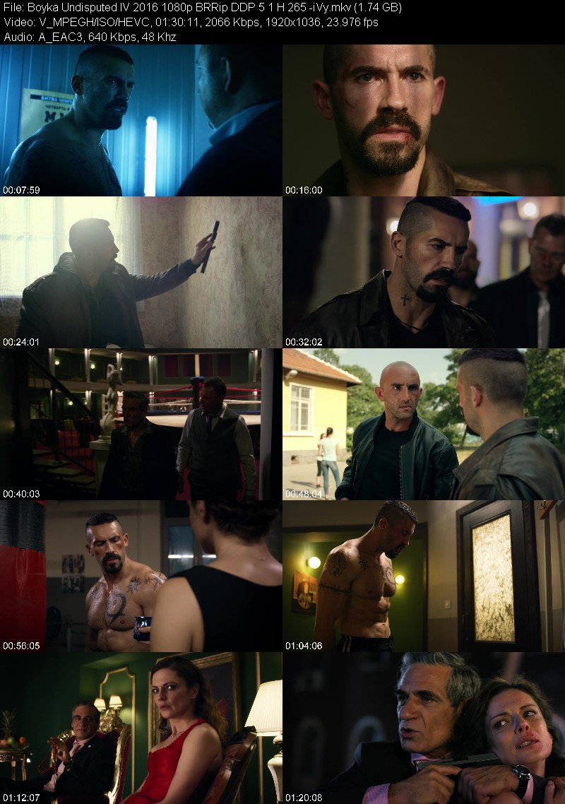 Boyka Undisputed IV 2016 1080p BRRip DDP 5 1 H 265 -iVy E10578af4bb1b1751b2ac4c3929f960f