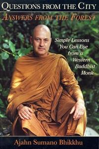 Questions from the City, Answers from the Forest Simple Lessons You Can Use from a Western Buddhist Monk