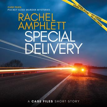 Rachel Amphlett - Case Files, Special Delivery  A9043497024a32f2b3c71a6fff41c636