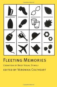 Fleeting Memories Cognition of Brief Visual Stimuli
