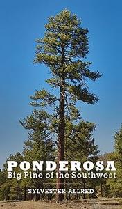 Ponderosa Big Pine of the Southwest