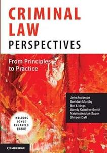 Criminal Law Perspectives From Principles to Practice
