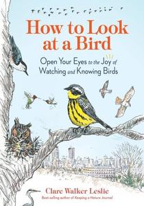 How to Look at a Bird Open Your Eyes to the Joy of Watching and Knowing Birds