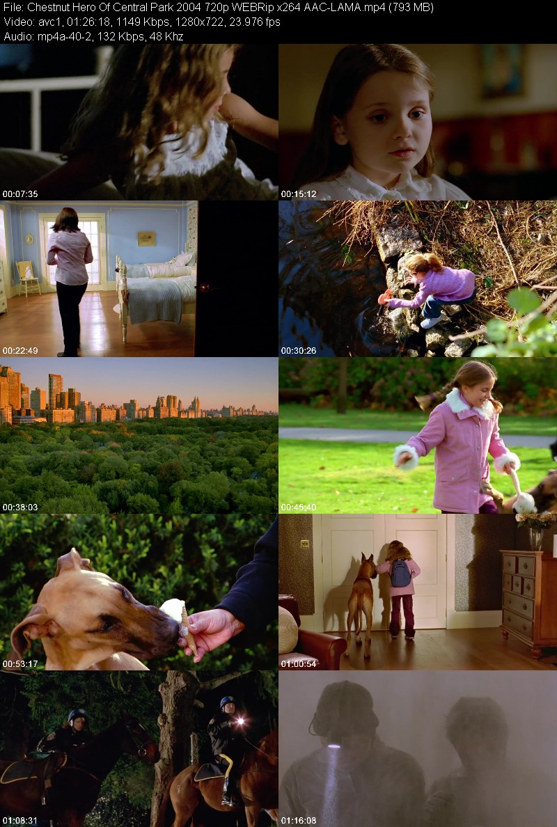 Chestnut Hero Of Central Park (2004) 720p WEBRip-LAMA C6e132990498a549f419a9c59a77785f