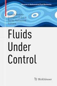 Fluids Under Control (Advances in Mathematical Fluid Mechanics)