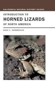 Introduction to Horned Lizards of North America