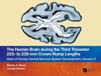 The Human Brain during the Third Trimester 225– to 235–mm Crown–Rump Lengths, Volume 11
