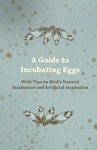 A Guide to Incubating Eggs With Tips on Bird’s Natural Incubation and Artificial Incubation