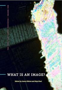 What Is an Image (The Stone Art Theory Institutes)