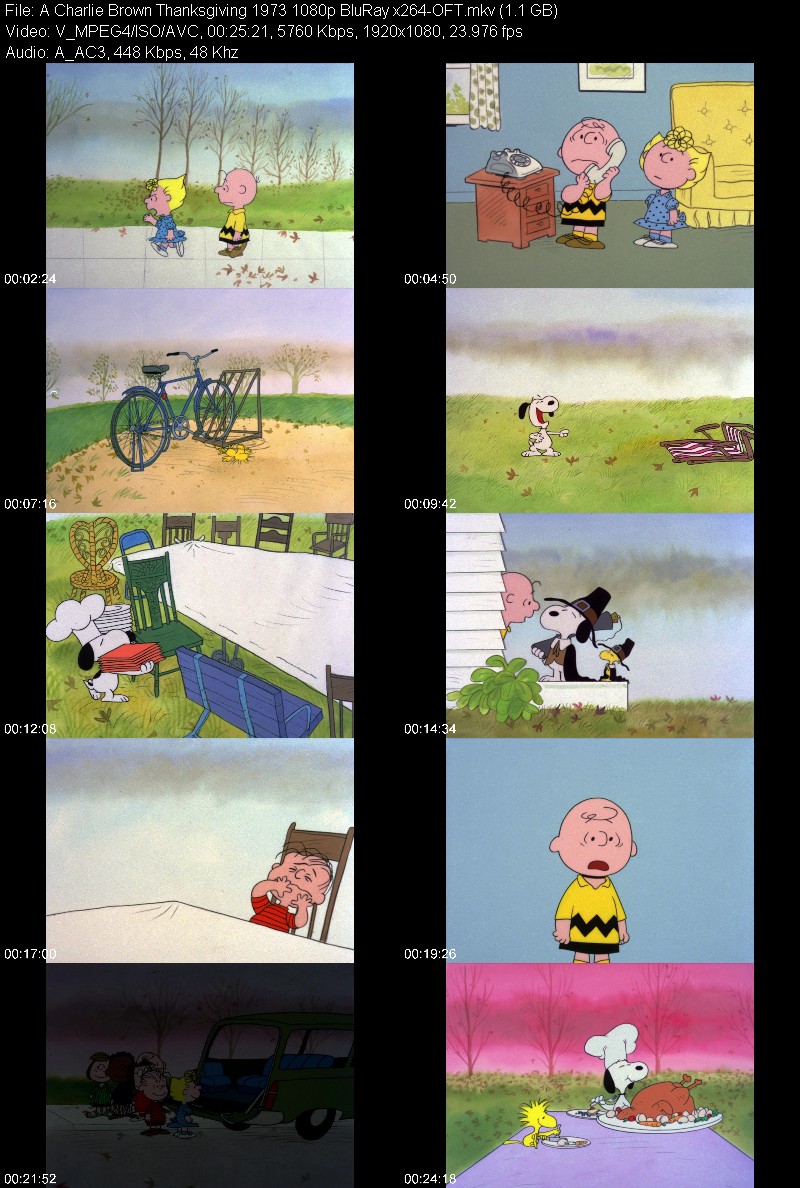 A Charlie Brown Thanksgiving 1973 1080p BluRay x264-OFT 101ee6e61b21916d93aefb72f154b9a4