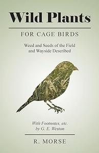 Wild Plants for Cage Birds Weed and Seeds of the Field and Wayside Described