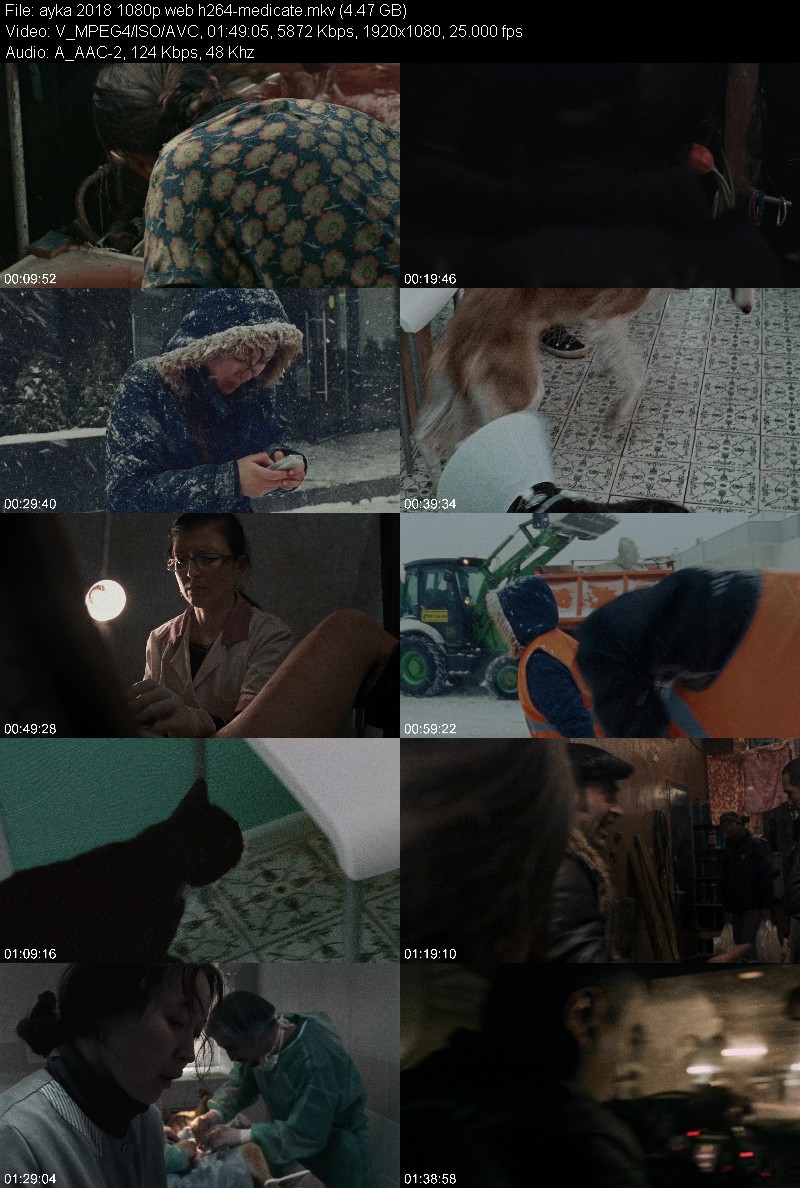 Ayka 2018 1080p WEB H264-MEDiCATE 38b6f5a7846faac53fbe6a43819449b4