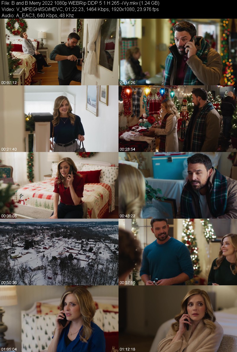 B and B Merry 2022 1080p WEBRip DDP 5 1 H 265 -iVy 72483fd8715807faab34aaa088ac70c9