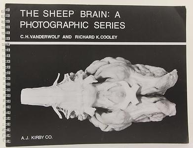 The Sheep Brain A Photographic Series