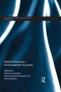Hybrid Economic–Environmental Accounts
