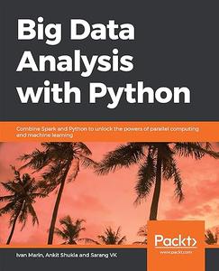 Big Data Analysis with Python (2024)